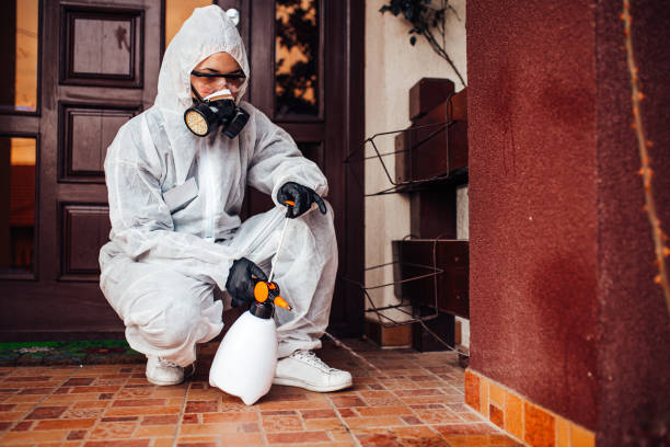 Reliable Wasp Removal contractor in Cedar Mill, OR by Show Me Pest Control